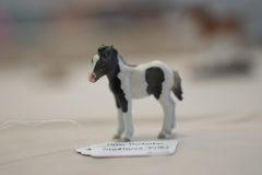 DSC00353-scaled