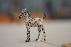 DSC00359-scaled