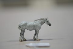 DSC00366-scaled