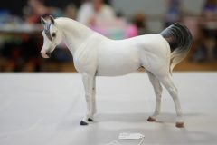 DSC00367-scaled