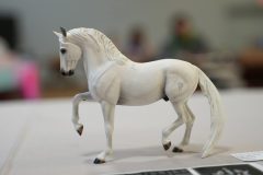 DSC00368-scaled