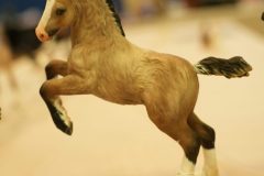 DSC00374-scaled