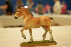 DSC00377-scaled