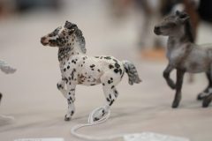 DSC00379-scaled