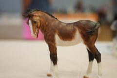 DSC00384-scaled