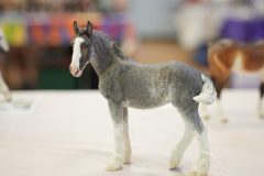DSC00386-scaled