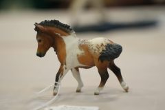 DSC00387-scaled
