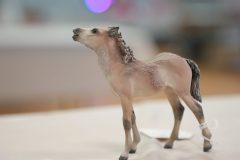 DSC00391-scaled