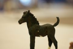 DSC00397-scaled