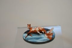 DSC00405-scaled