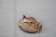 DSC00406-scaled