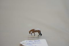 DSC00410-scaled