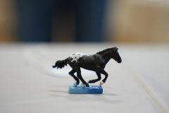 DSC00413-scaled