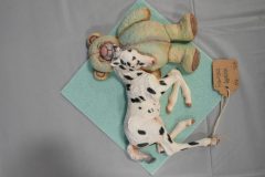 DSC00419-scaled