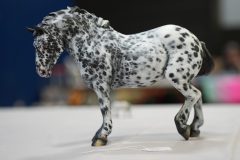 DSC00420-scaled