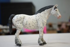 DSC00421-scaled