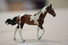 DSC00438-scaled