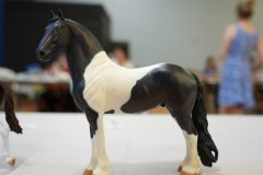 DSC00460-scaled