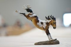 DSC00461-scaled