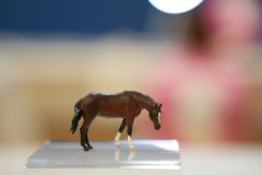 DSC00470-scaled