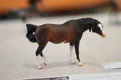 DSC00500-scaled