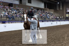 Untitled-0020-24