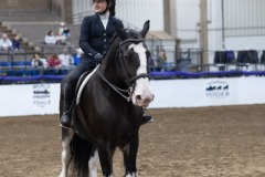 Untitled-0033-21