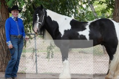 DSC08866