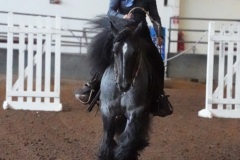 DSC00396-1