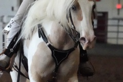 DSC00958