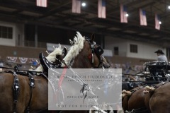 Untitled-0033-5