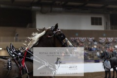 Untitled-0035-3