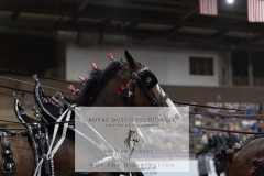 Untitled-0037-2