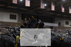 Untitled-0041-2