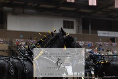Untitled-0042-2