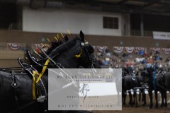 Untitled-0044-2