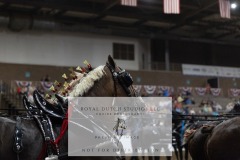 Untitled-0049-2