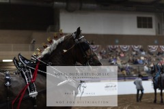 Untitled-0050-2
