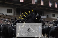 Untitled-0051-2