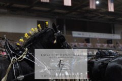 Untitled-0052-2