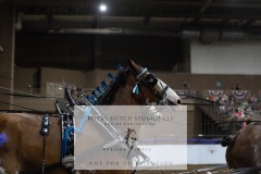 Untitled-0056-2