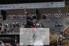 Untitled-0071-2