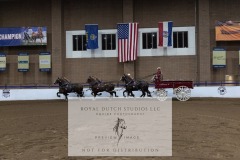 Untitled-0077-2