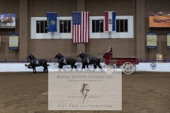 Untitled-0081-2