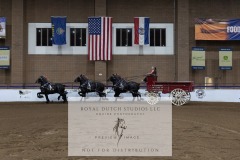 Untitled-0082-2