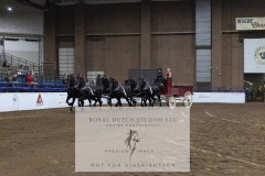Untitled-0084-2