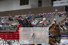 Untitled-0095-2