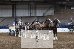 Untitled-0160