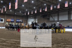 Untitled-0237
