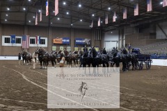 Untitled-0294